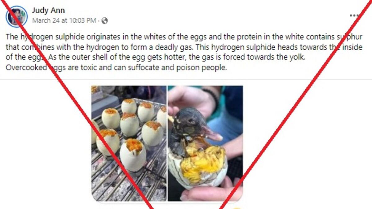 DO NOT EAT ROTTEN DUCK EGGS or this WILL HAPPEN TO YOU! 
