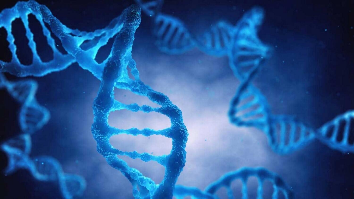 Геном белого человека. Наследственность гены. Наследственные заболевания картинки. Генетические факторы. Генетические заболевания ДНК.