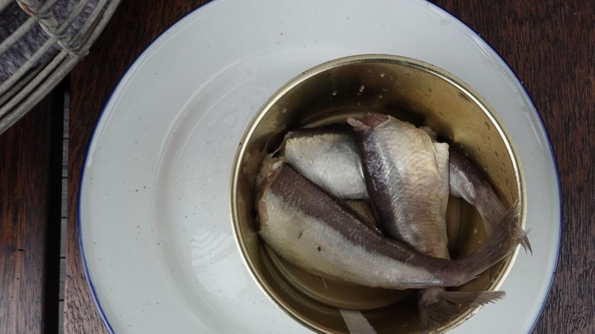 A Swedish Delicacy Called Surströmming - Daily Scandinavian