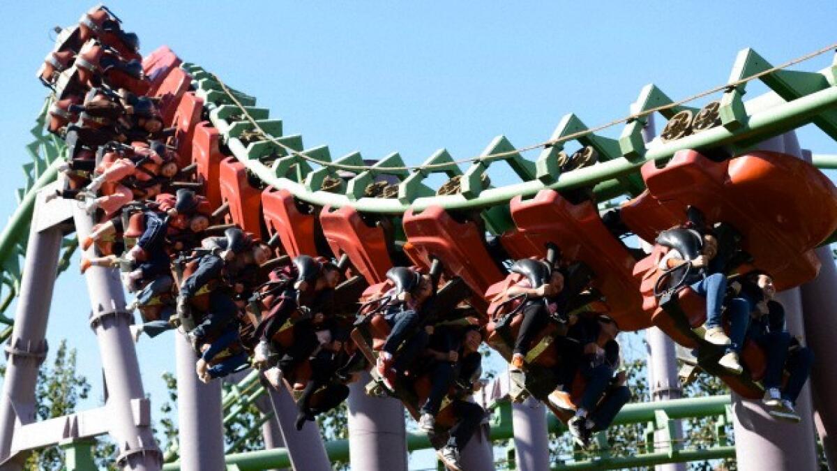 Bird stops roller coaster, leaves riders hanging upside down - News ...