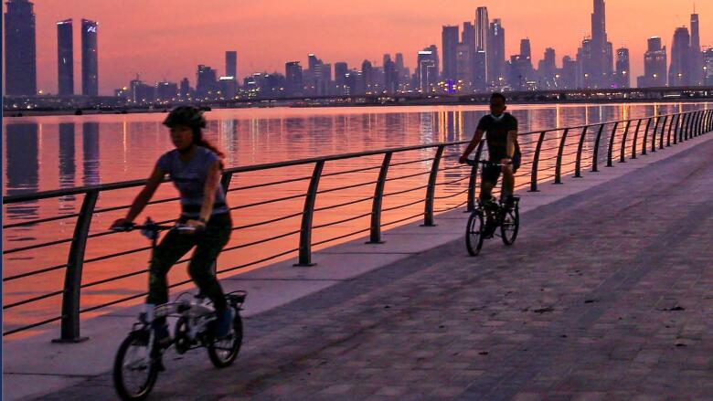 Dubai: Explore cycling tracks, walking trails and more with new interactive  guide - News | Khaleej Times