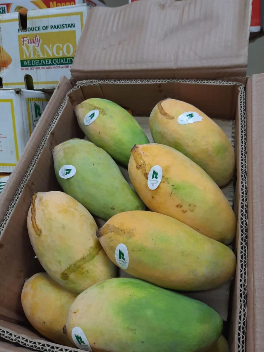 Pakistani mangoes arrive in UAE; will they be cheaper this year? - News ...
