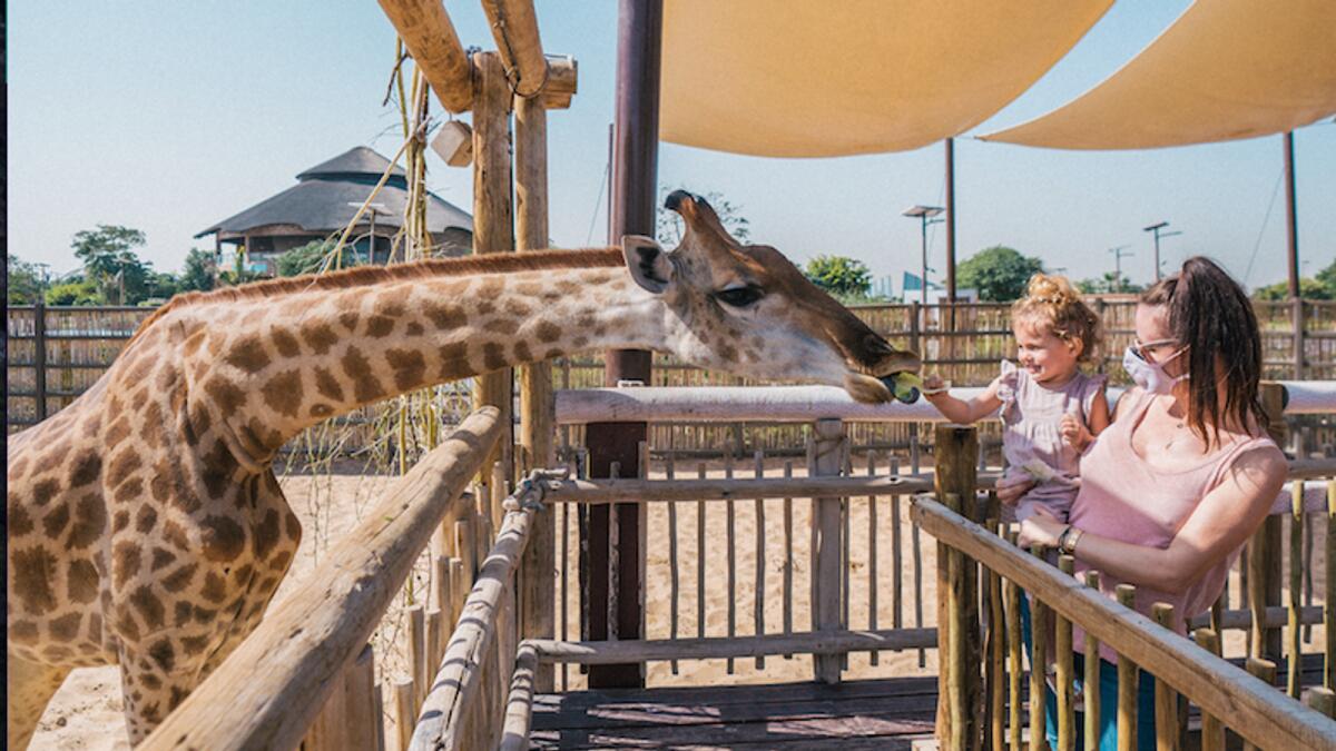 Dubai Safari Park's new season to begin on September 27: All you need to  know - News | Khaleej Times