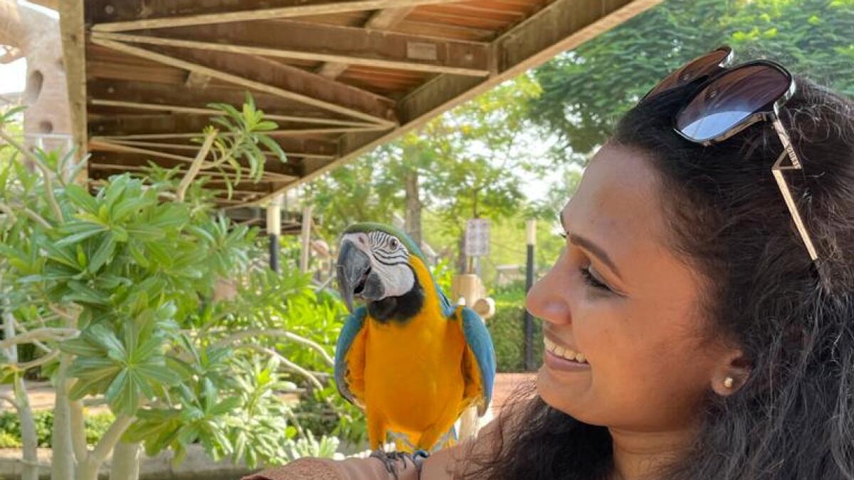 Dubai Safari: Breakfast with the birds, behind-the-scenes tours among new  season attractions - News | Khaleej Times