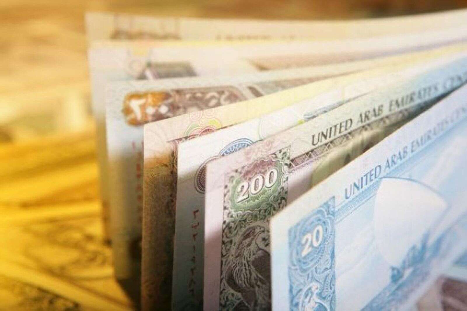 UAE: 'Second salary' plan announced for residents to generate additional income