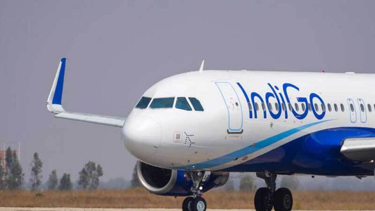 India: IndiGo flight to Delhi returns safely to Guwahati after bird hit -  News | Khaleej Times