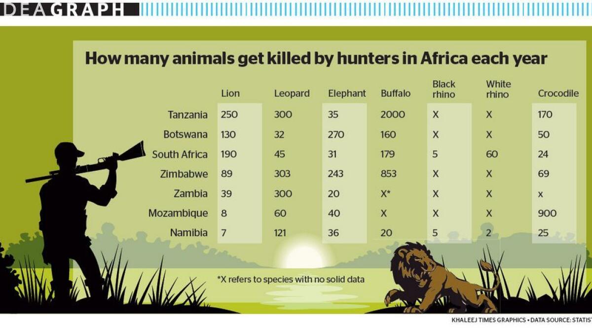 How many animals get killed by hunters in Africa each year! - News |  Khaleej Times