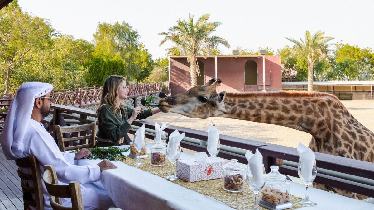 Video: Why Saif Belhasa's private Dubai zoo, home to over 500 animals, is  only open to the stars - News | Khaleej Times