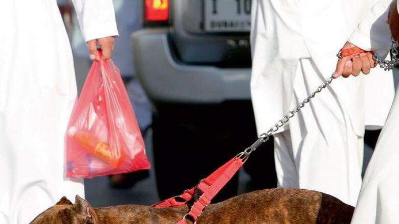 What's being done to protect our animals in UAE? - News | Khaleej Times