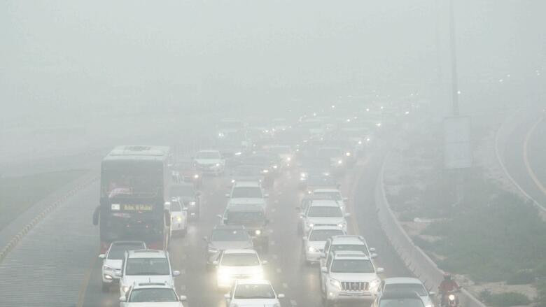 UAE weather: Fog to affect visibility today, drivers asked to be cautious -  News | Khaleej Times