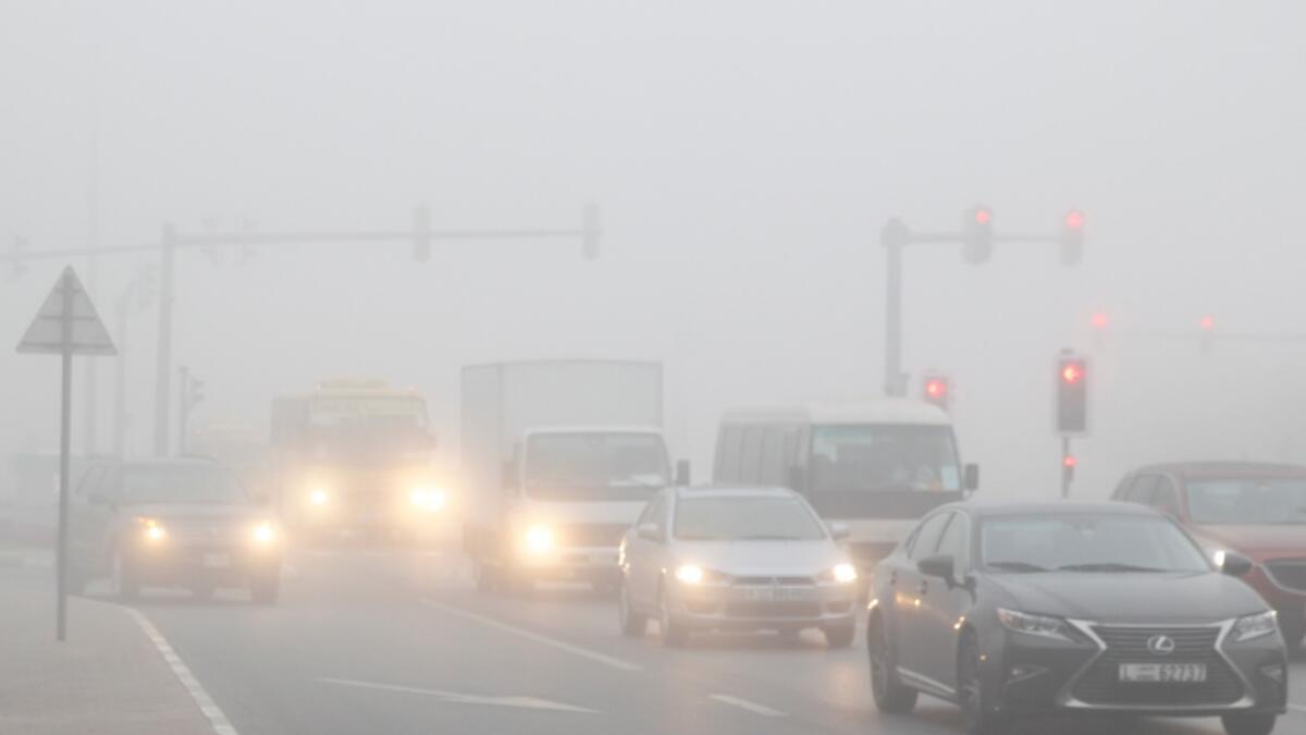 UAE weather: Fog reduces visibility in parts of Abu Dhabi - News | Khaleej Times