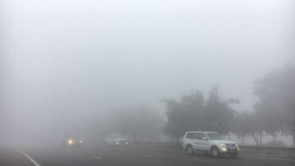 4.9°C in UAE: Speed limit announced on road due to fog - News | Khaleej  Times