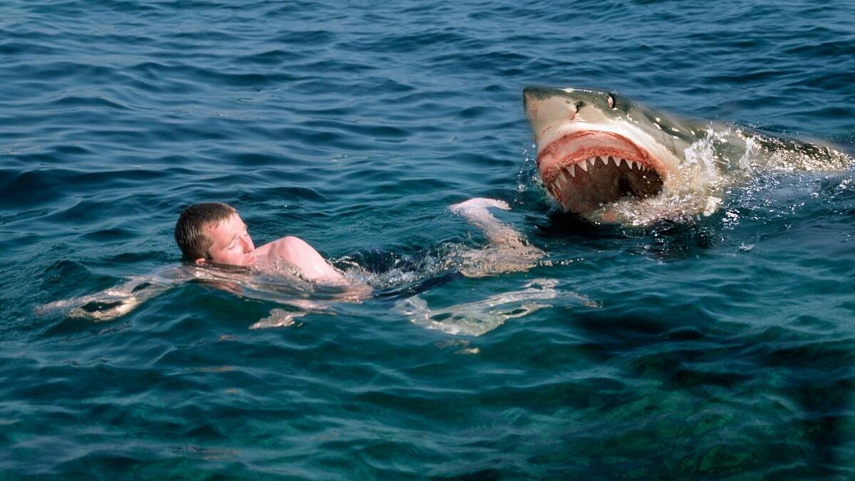 Tiburones comiendo personas vivas