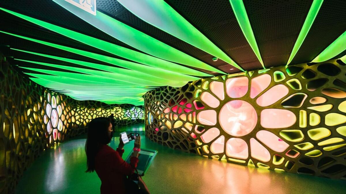 Expo City Dubai opens tomorrow: 7 free, paid experiences and pavilions at Expo 2020 legacy site
