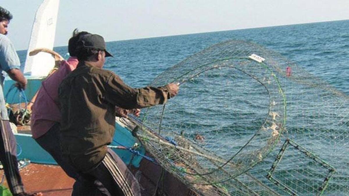 Dubai bans use of fishing nets, announces plan to protect marine