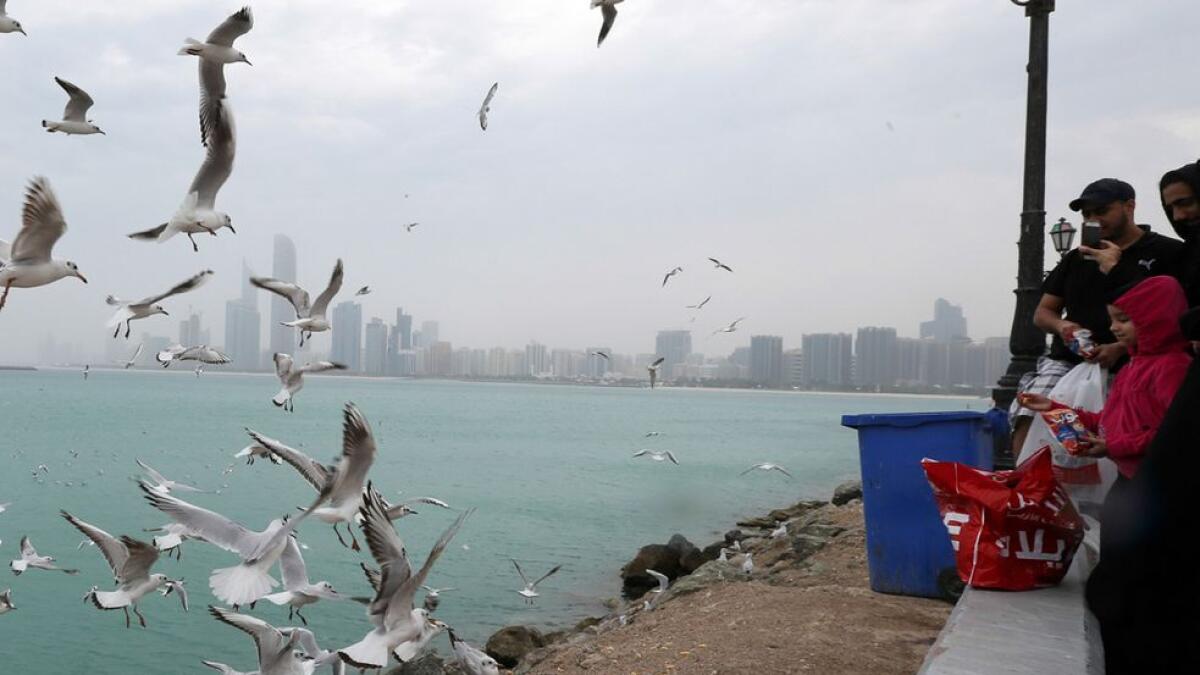 Wind wreaks havoc, UAE residents cancel plans
