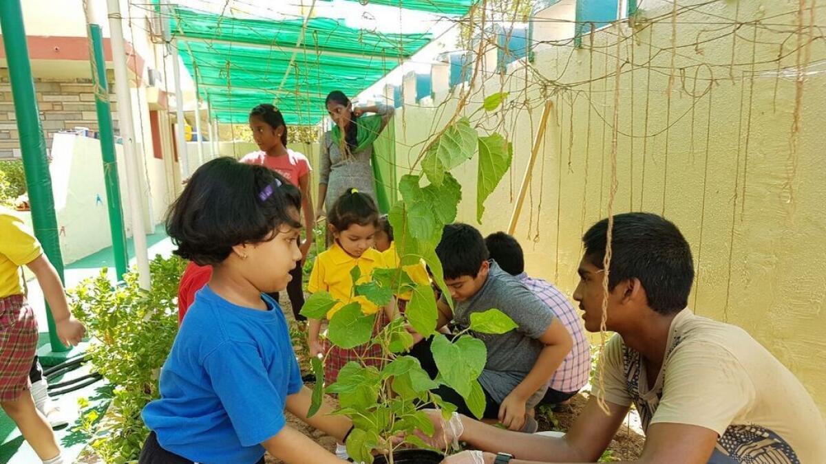 Green Globe Initiative: Sharjah Students go environment friendly 