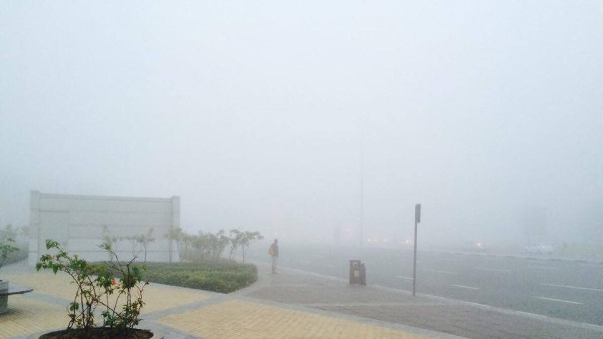 UAE wakes up to heavy fog on weekend
