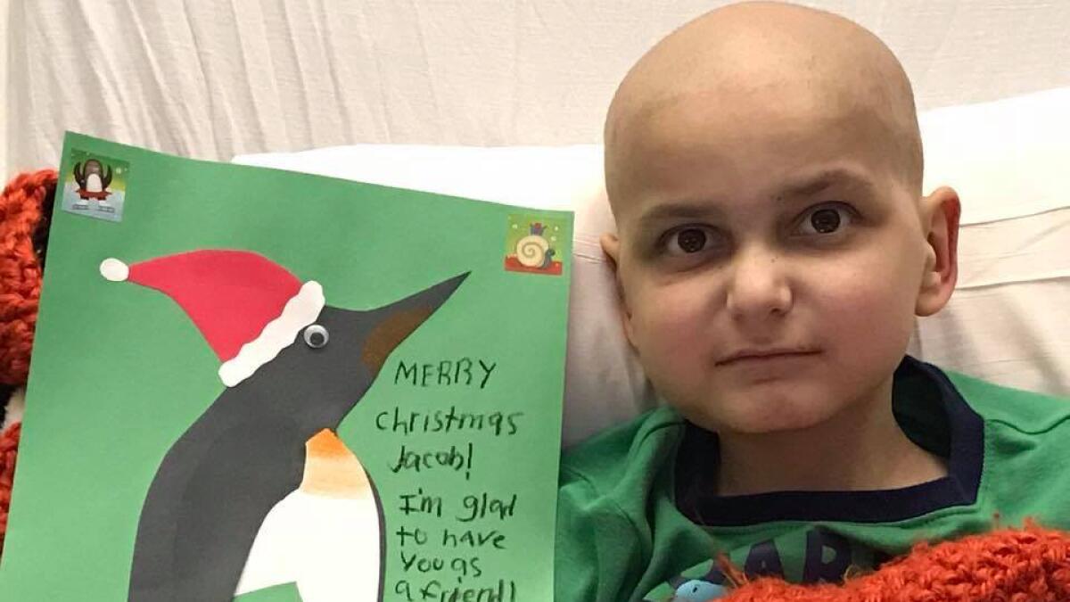 Greeting cards sought for sick boy who may not see Christmas 