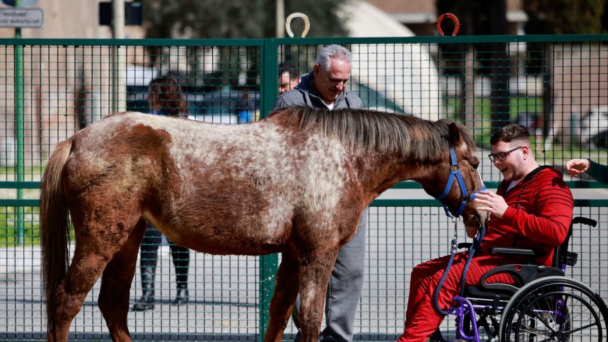 Matteo Santopadre, a former shooting champion who remained in a coma for months after a car accident, attends a hippotherapy session to regain his mobility.