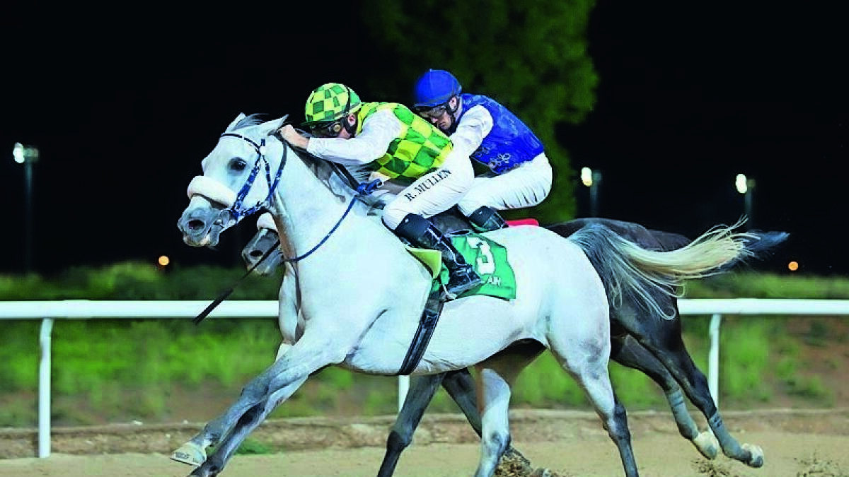 Special moment as trainer Al Alawi saddles 100th win