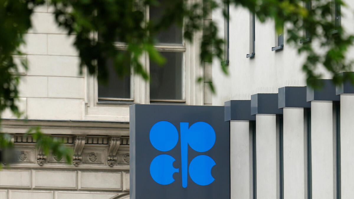 What does the future hold for the Opec?