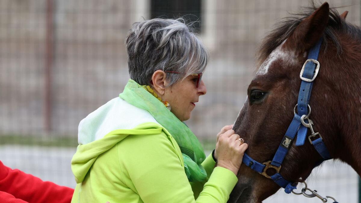 Parkinson's disease patient Paola Conto attends a hippotherapy session.