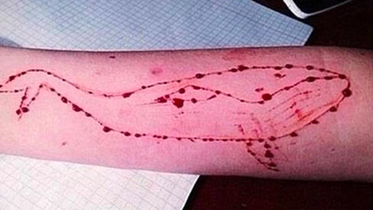 India orders ban on Blue Whale suicide game