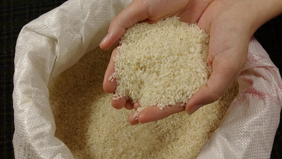 Falling rice prices land UAE traders in soup