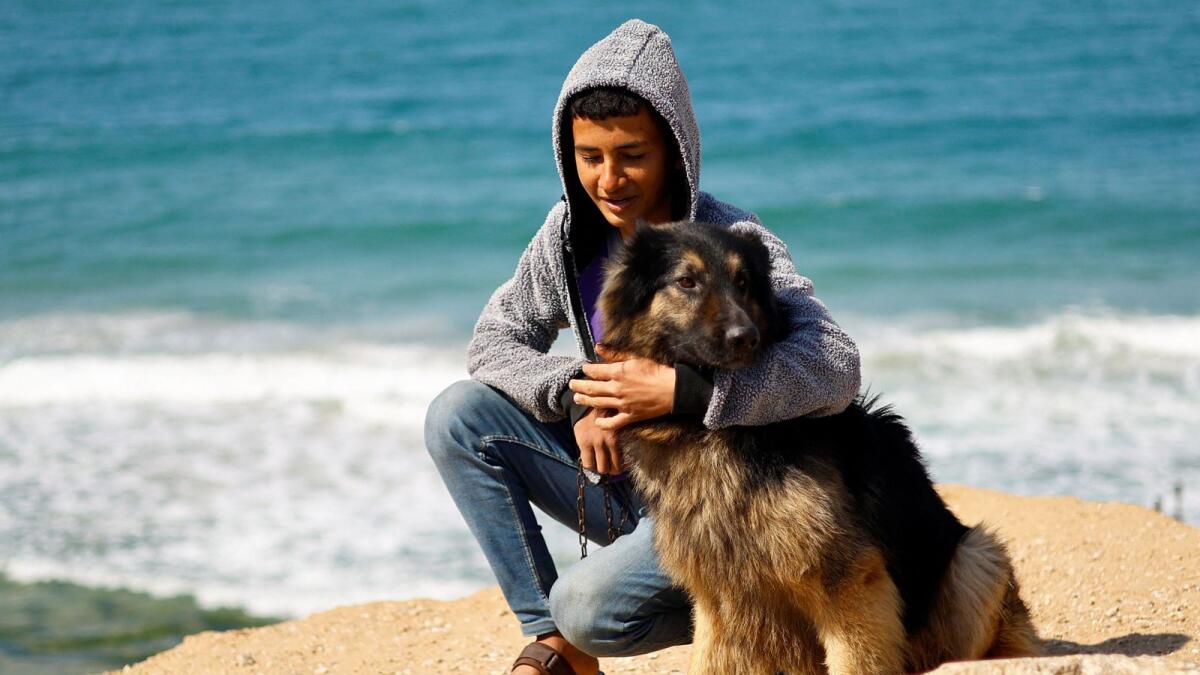 Displaced Palestinian teenager Hassan Abu Saman with his dog on a beach in Rafah. Photos: Reuters