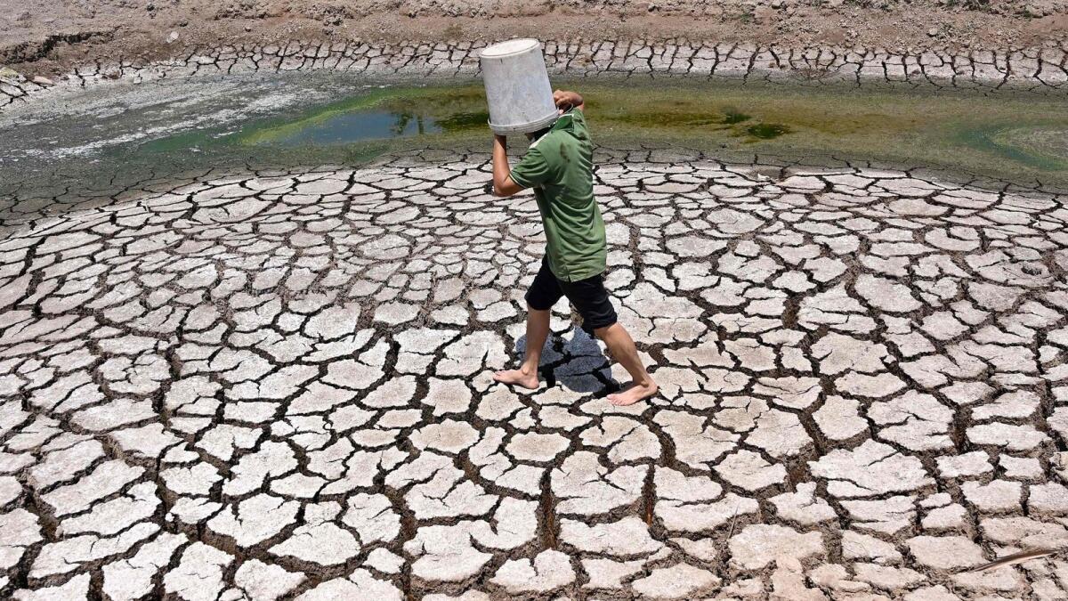 A man carries a plastic bucket across the cracked bed of a dried-up pond in Vietnam's southern Ben Tre province on March 19. Photo: AFP file