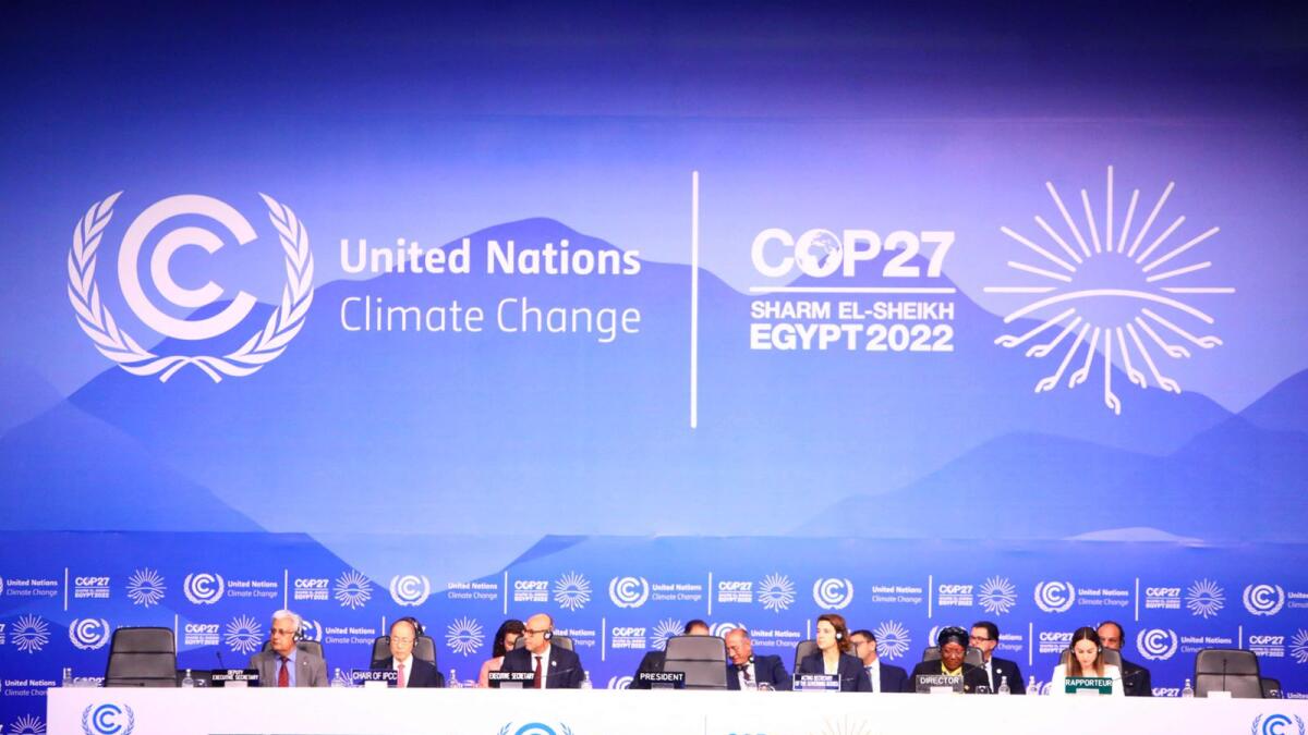 COP27: UAE aims to offer practical solutions to climate change - Khaleej Times