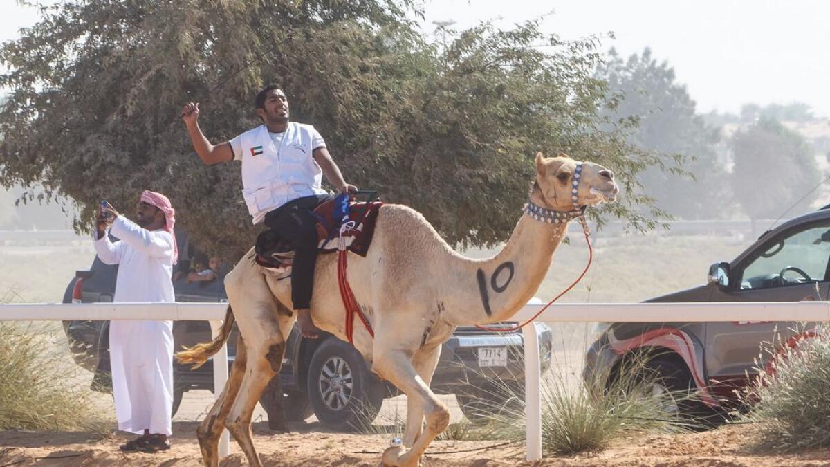 Salim Al Hammadi comes first during the Camel Marathon at the Dubai Endurance city 