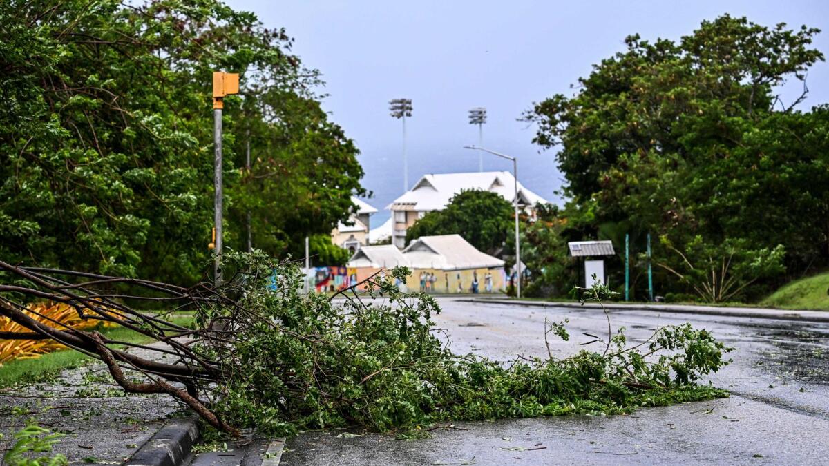 A tree is seen fallen on the street as hurricane Beryl passes near Bridgetown, Barbados, on Monday. AFP