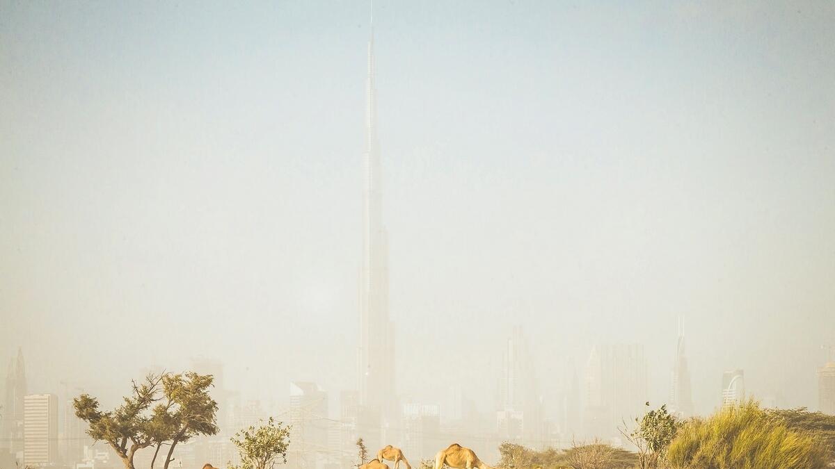 Winds to kick up dust, sand in UAE until March 5