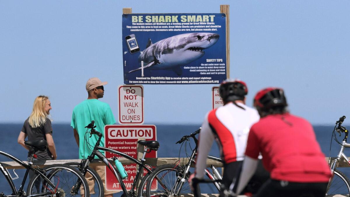 A shark warning warns beachgoers at Lecount Hollow Beach in Wellfleet, Mass. AP