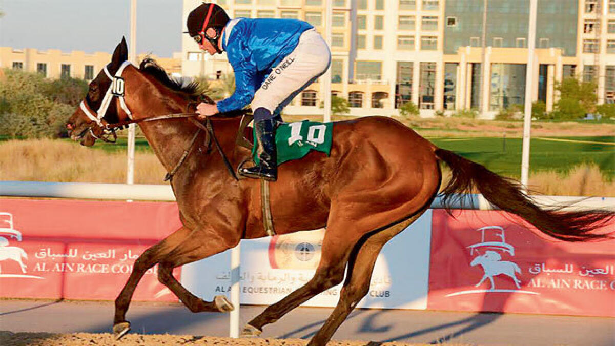 700th winner for Shaikh Hamdan in Al Ain race