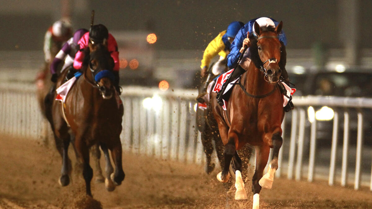 North America to break from gate 3; stall 12 for Thunder Snow in Dubai World Cup