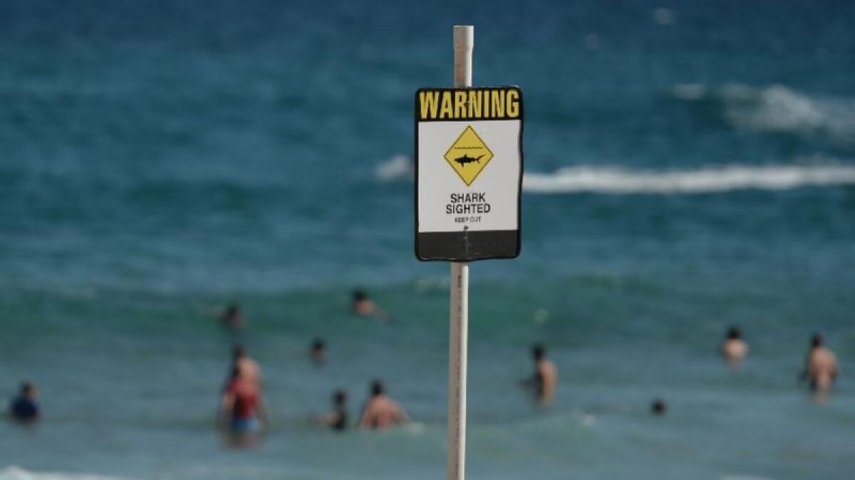 Surfer mauled in Australia shark attack