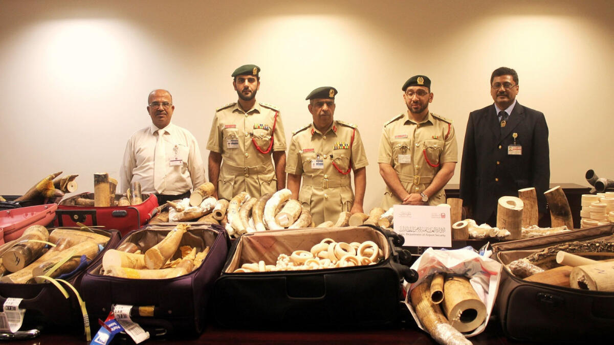 Dubai foils bids to traffic ivory worth Dh5 million