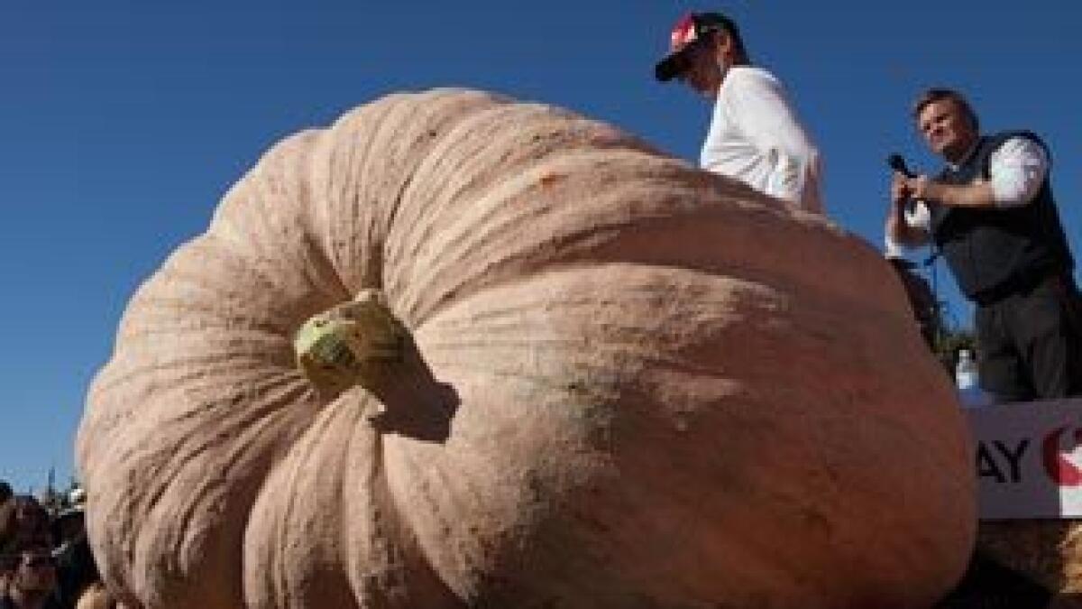 Two-ton pumpkin weighs in as heaviest ever in US