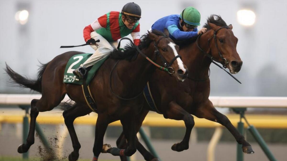 Darlington Hall will be taking part in the Grade 1 Satsuki Sho, the Japanese 2000 Guineas. - Supplied photo