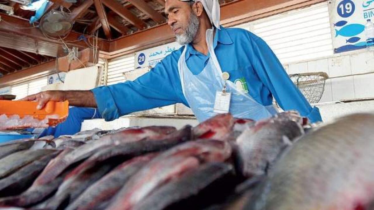Umm Al Quwain fish market to get facelift