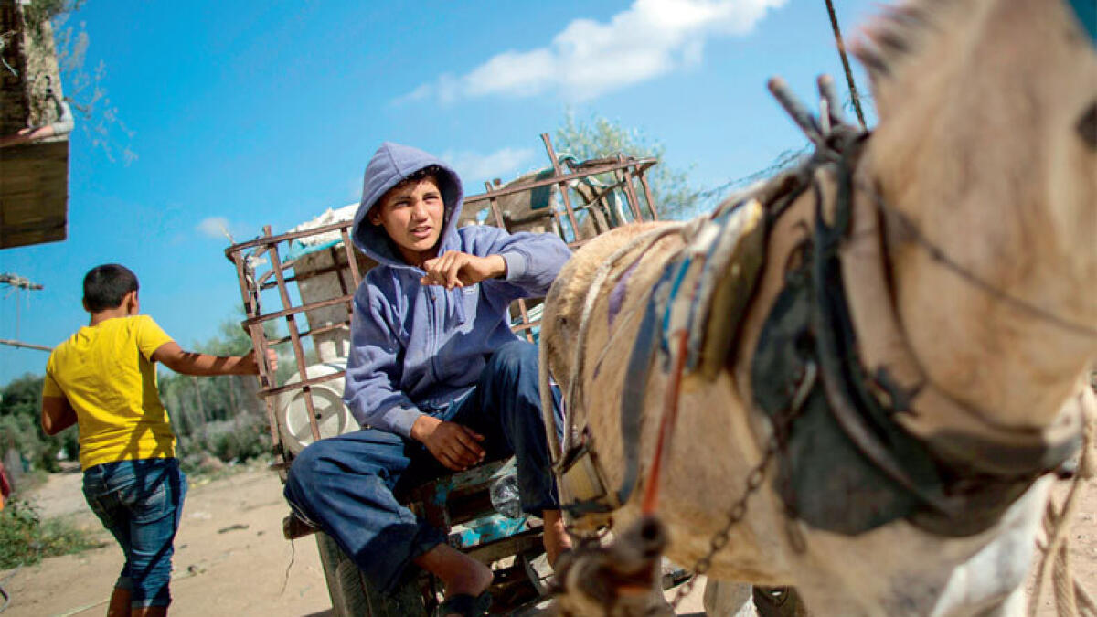 Wars, poverty force Gaza children to work