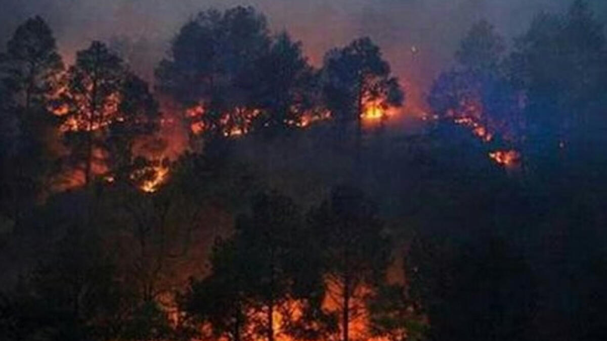 WATCH: Forest fires sweep across north India