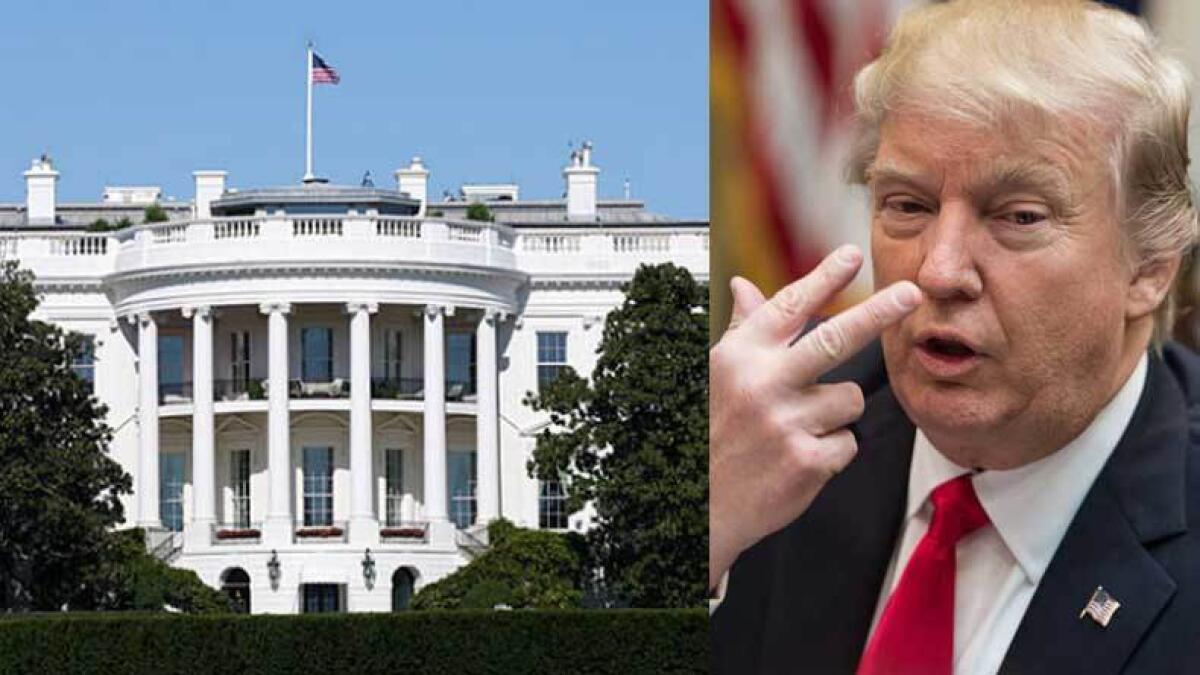 Intruder enters White House, claims to be Trumps friend 