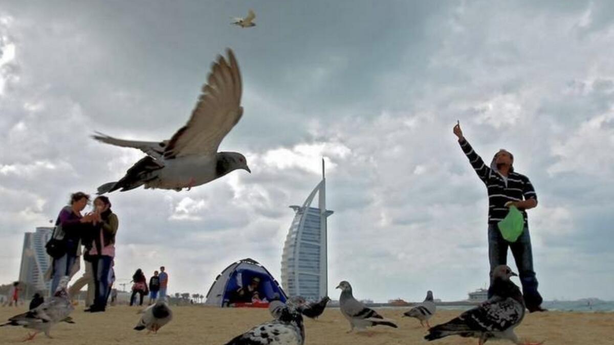 UAE weather: Temperatures dip to 3.8 °C 