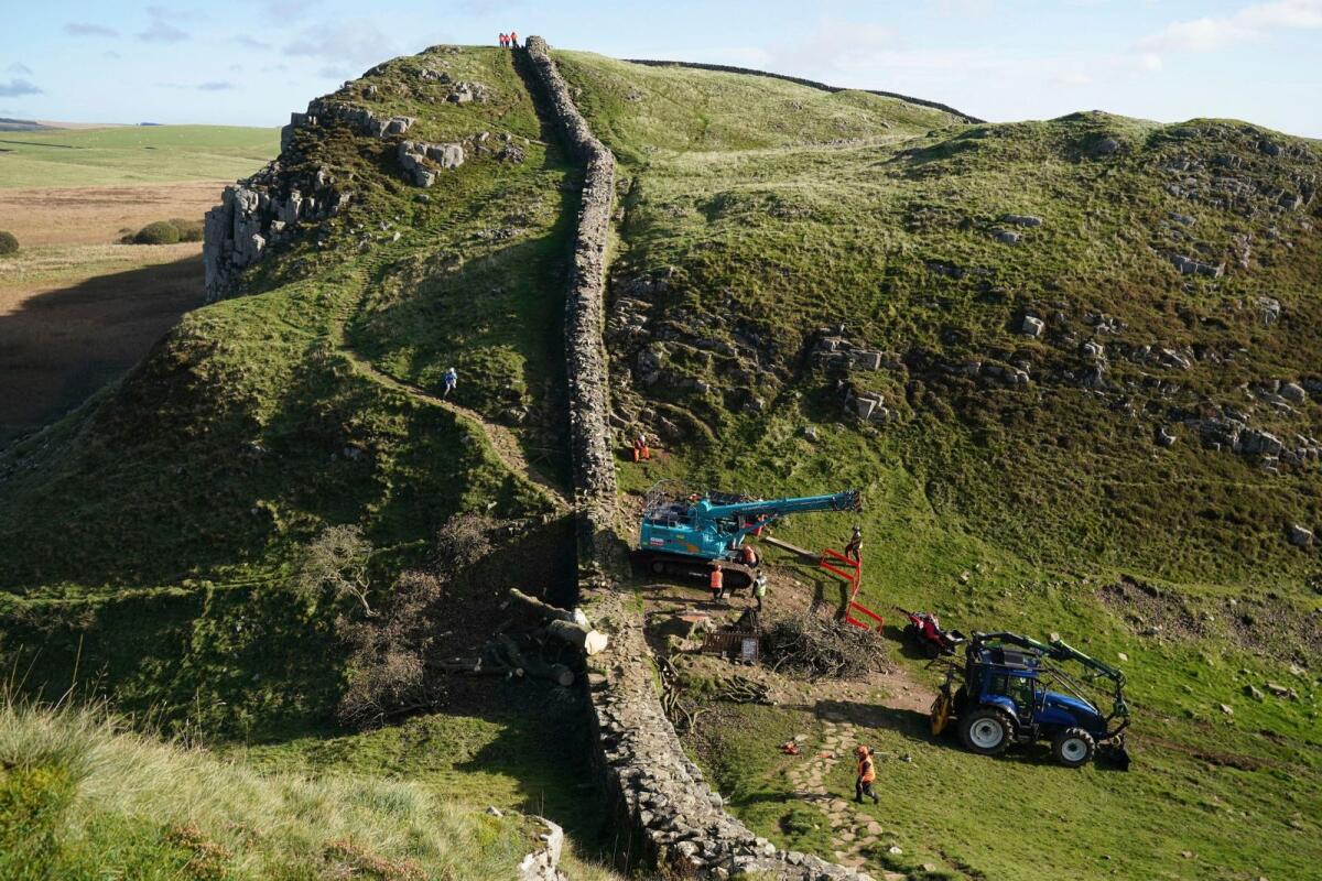 Work begins on the removal of the felled Sycamore Gap tree, on Hadrian's Wall in Northumberland, England, on Thursday. — AP