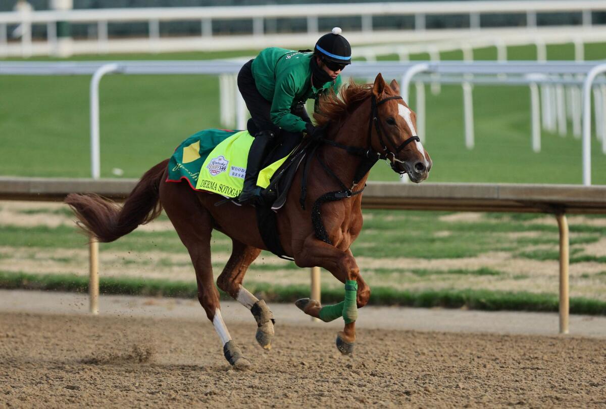 Derma Sotogake of Japan trains for Saturday's Kentucky Derby at Churchill Downs  in Louisville, Kentucky. He is bidding to make history as the first Japanese-trained horse to win the great race.  — AFP
