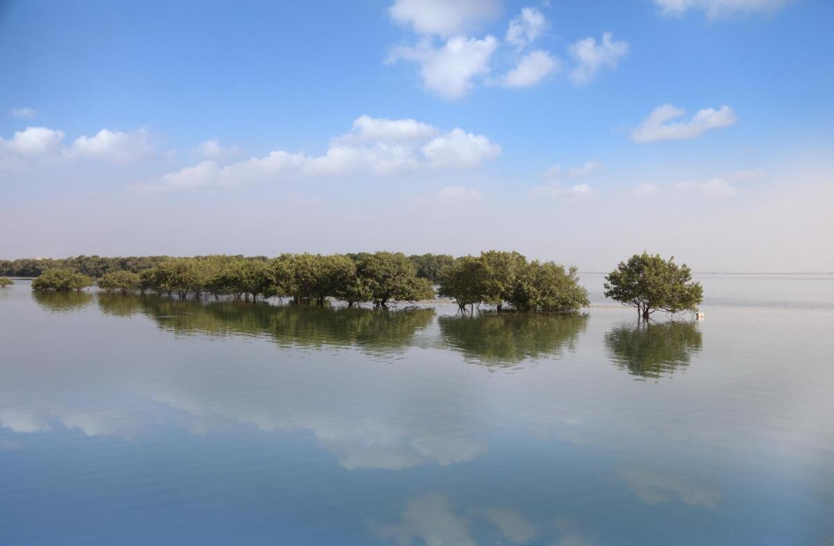 Siniyah and Khor Al Beidah Island, Umm al Quwain